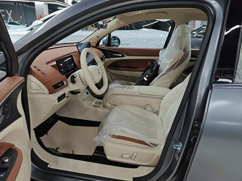 Used ORA Good Cat 2025 Model, 430 km Prestige Version — 14
