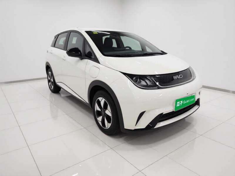 Used BYD Dolphin 2025 420km Free Edition — 3