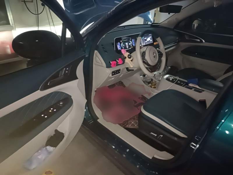 Used ORA Good Cat 2022 Morandi Edition 400km Standard Range Luxury Version Lithium-Ion Battery — 15