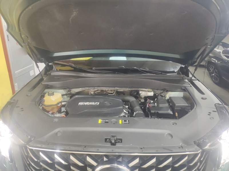 Used GAC Trumpchi GS8 2022 Linghang Series 2.0 TGDI Two-Wheel-Drive Luxury Smart Connectivity Version (7 Seats) — 19