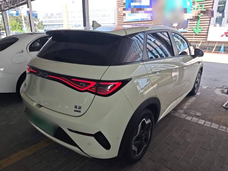 Used BYD Dolphin 2025 Smart Drive Version 420 km Freedom Edition — 6
