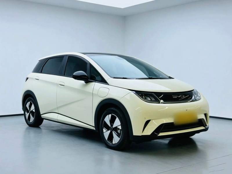 Used BYD Dolphin 2023 420 km Fashion Edition — 29