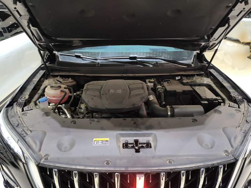 Used Hongqi HS5 2025 2.0T All-Wheel-Drive Flagship Pro Edition — 19