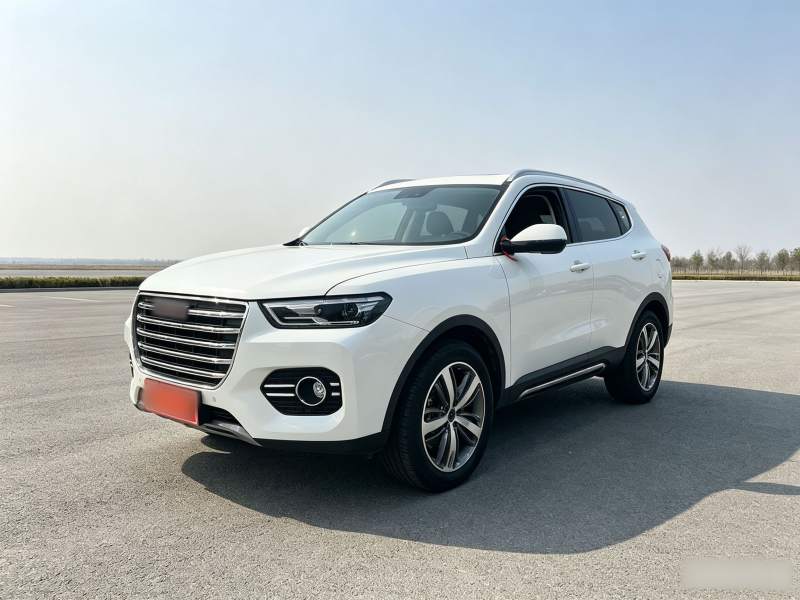 Used Haval H6 2017 Red Label 2.0T Automatic Two-Wheel Drive ZhiShang Model — 1