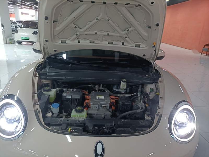 Used ORA Good Cat 2024 401 km Luxury Version — 15