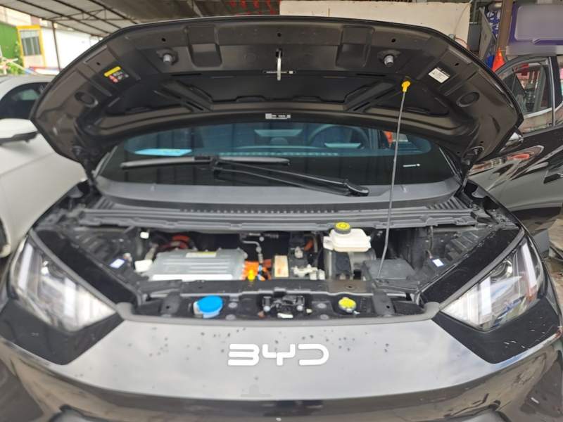 Used BYD Seagull 2024 Honor Edition 305km Freedom Version — 19