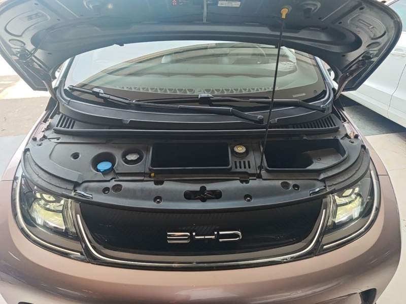 Used BYD Dolphin 2021 401km Knight Edition — 19