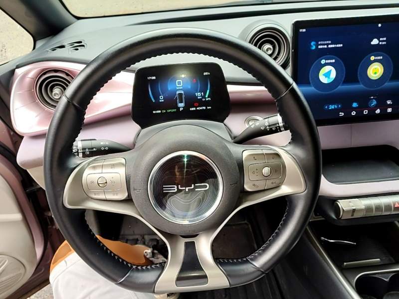 Used BYD Dolphin 2021 405 km Fashion Edition — 10