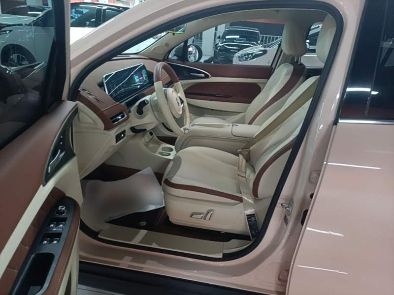 Used ORA Good Cat 2024 401 km Luxury Version — 10