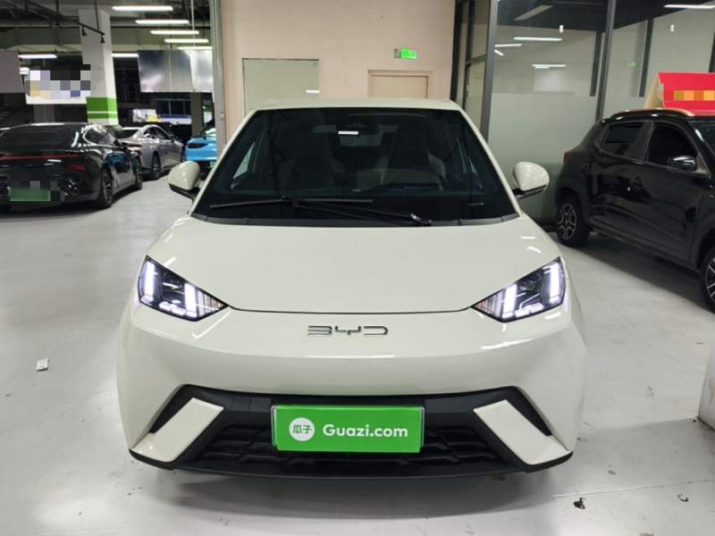 Used BYD Seagull 2023 Flying Edition — 2