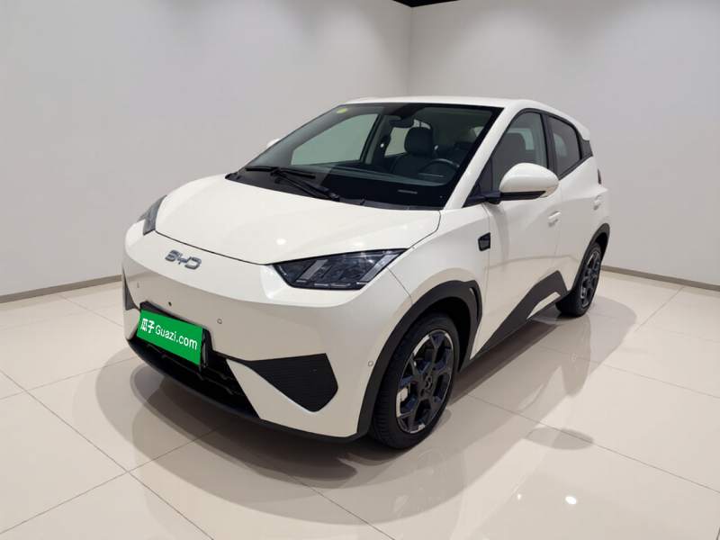 Used BYD Seagull 2025 Smart Drive Version 305 km Freedom Edition