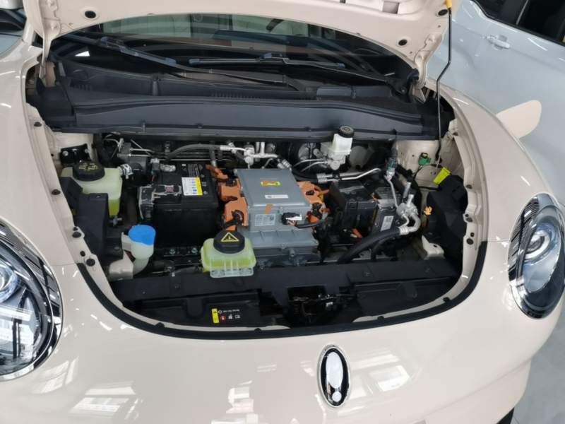 Used ORA Good Cat 2021 400km Standard Range Venus Edition Lithium-Ion Battery — 19