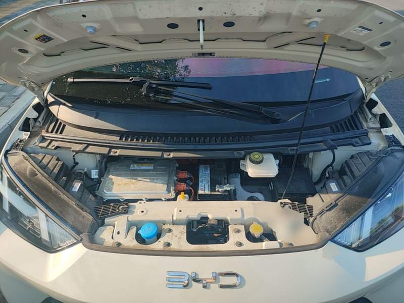 Used BYD Seagull 2024 Honor Edition 305km Dynamic Version — 19