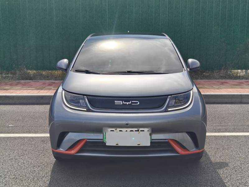 Used BYD Dolphin 2021 405 km Fashion Edition — 30