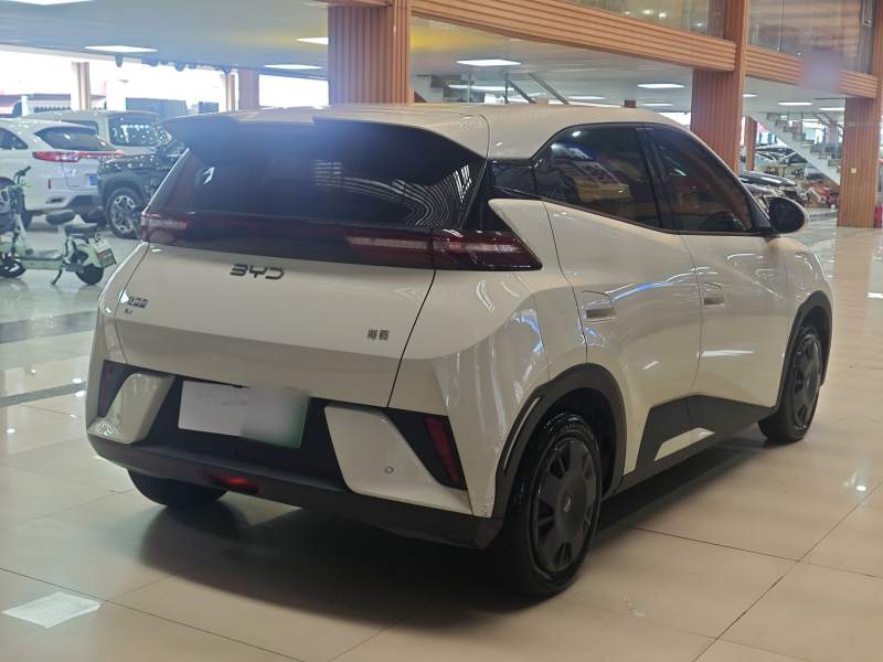 Used BYD Seagull 2025 Intelligent Driving Version 305 km Dynamic Edition — 32