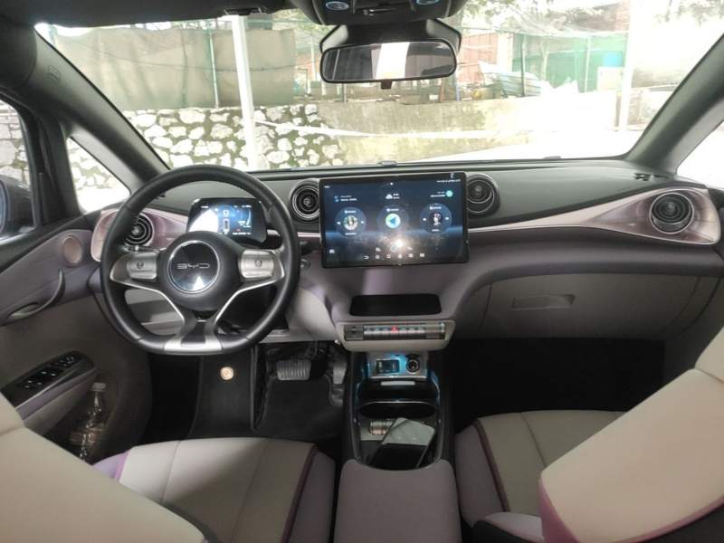 Used BYD Dolphin 2021 401km Knight Edition — 9