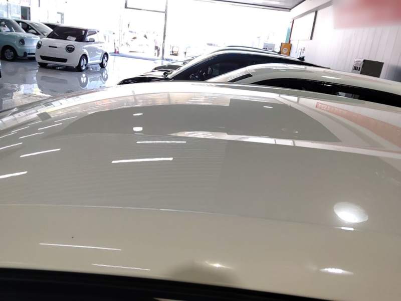 Used BYD Dolphin 2025 420km Free Edition — 26