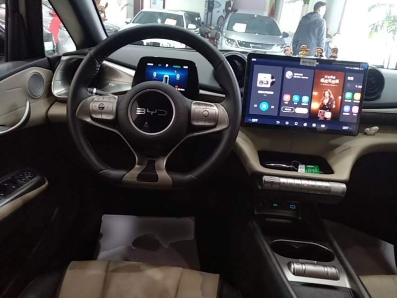 Used BYD Dolphin 2025 420km Free Edition — 10