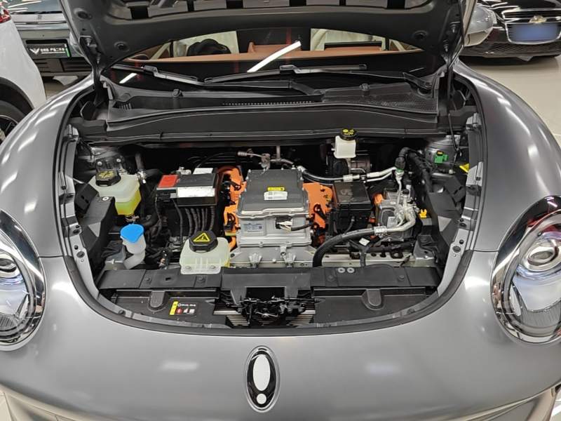 Used ORA Good Cat 2025 Model, 430 km Prestige Version — 19