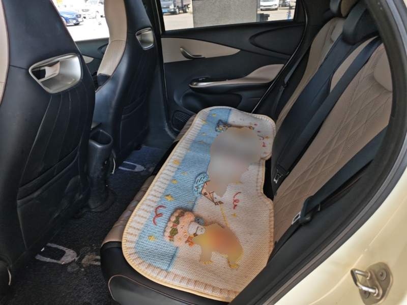 Used BYD Dolphin 2021 405 km Fashion Edition — 16
