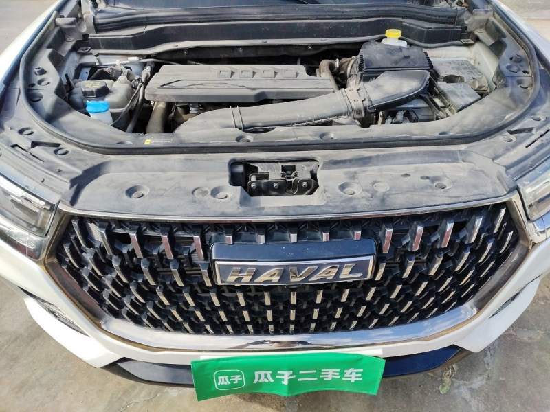 Used Haval H6 2023 National Trend Edition 1.5T Automatic Urban Version — 21