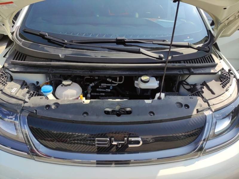 Used BYD Dolphin 2025 420km Free Edition — 19