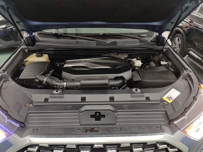 Used SAIC MAXUS D90 2017 2.0T Automatic Two-Wheel Drive Mercury — 19