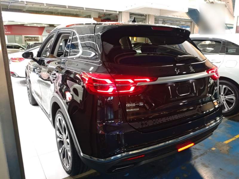 Used Hongqi HS5 2019 2.0T Smart Connect Flagship All-Wheel-Drive Version – Chinese Trim Xiang — 4