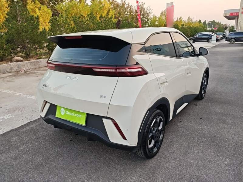 Used BYD Seagull 2025 305 km Free Version — 6