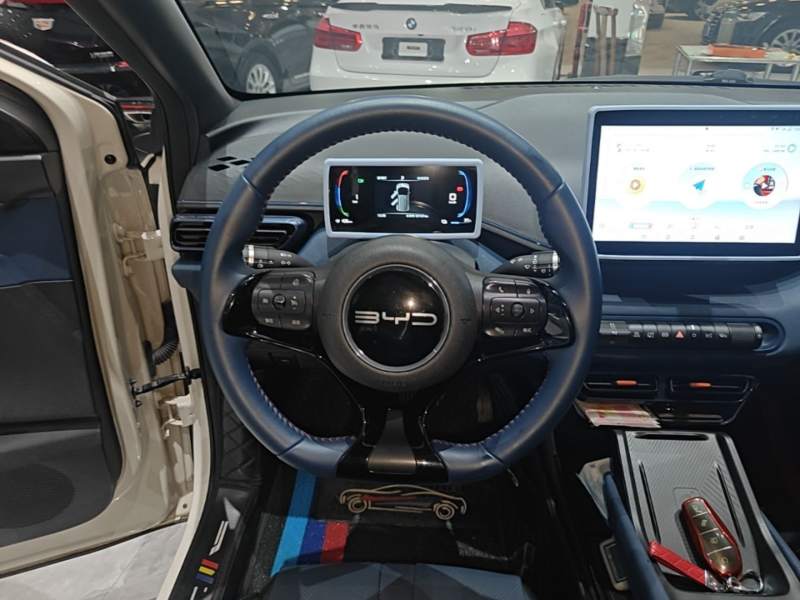 Used BYD Seagull 2023 Free Edition — 10