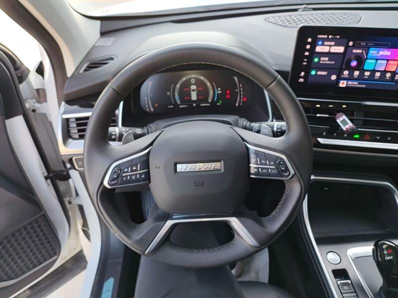 Used Haval H6 2023 National Trend Edition 1.5T Automatic Champion Version — 10