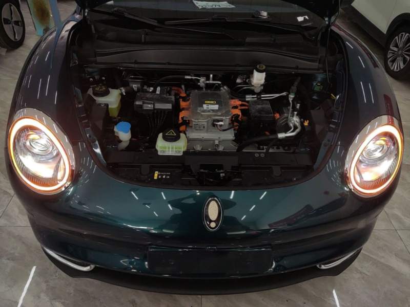 Used ORA Good Cat 2024 401 km Range Luxury Version 135 kW — 19