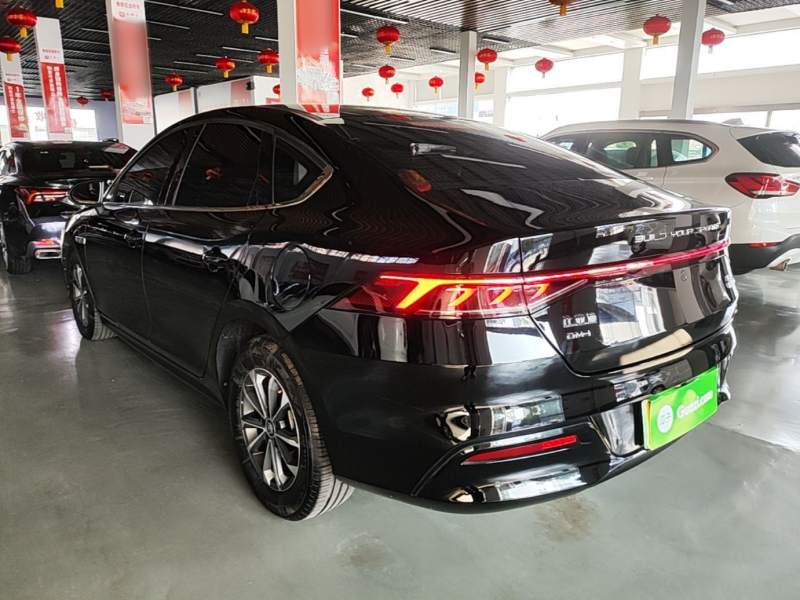 Used BYD Qin PLUS 2024 HONOR Edition DM-i 55KM Leading Model — 4