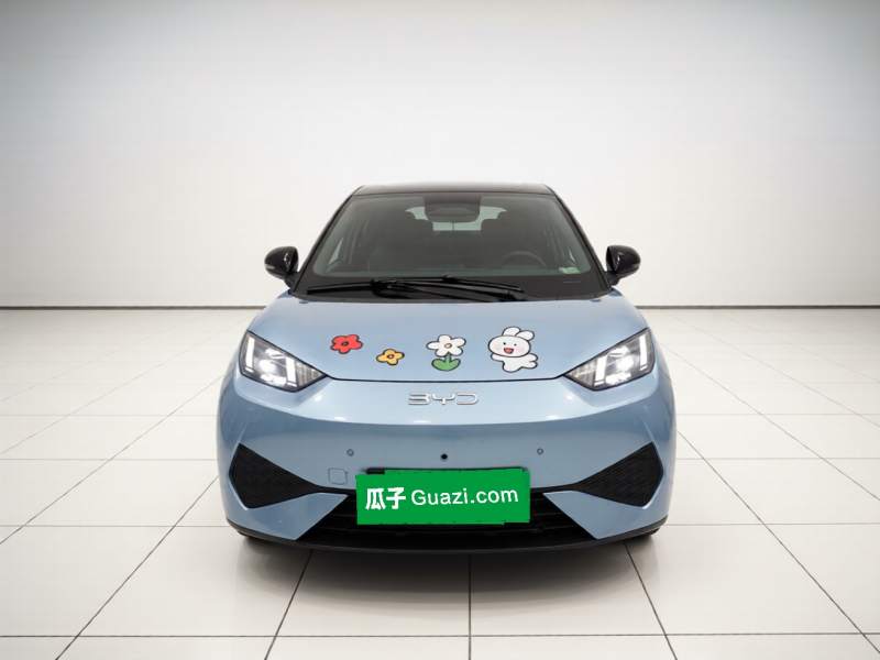 Used BYD Seagull 2025 Smart Drive Version 305 km Freedom Edition — 2