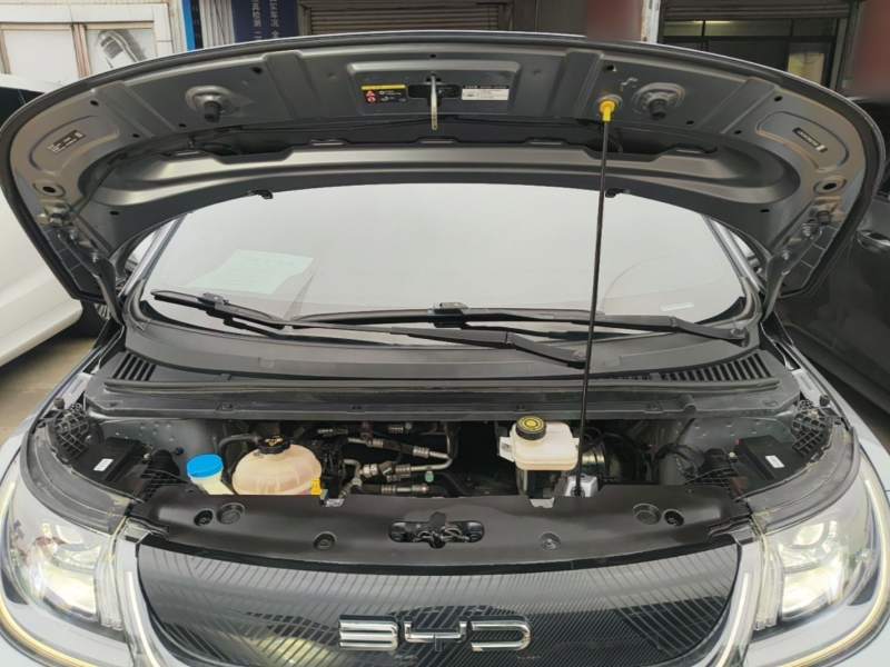 Used BYD Dolphin 2021 405 km Fashion Edition — 19