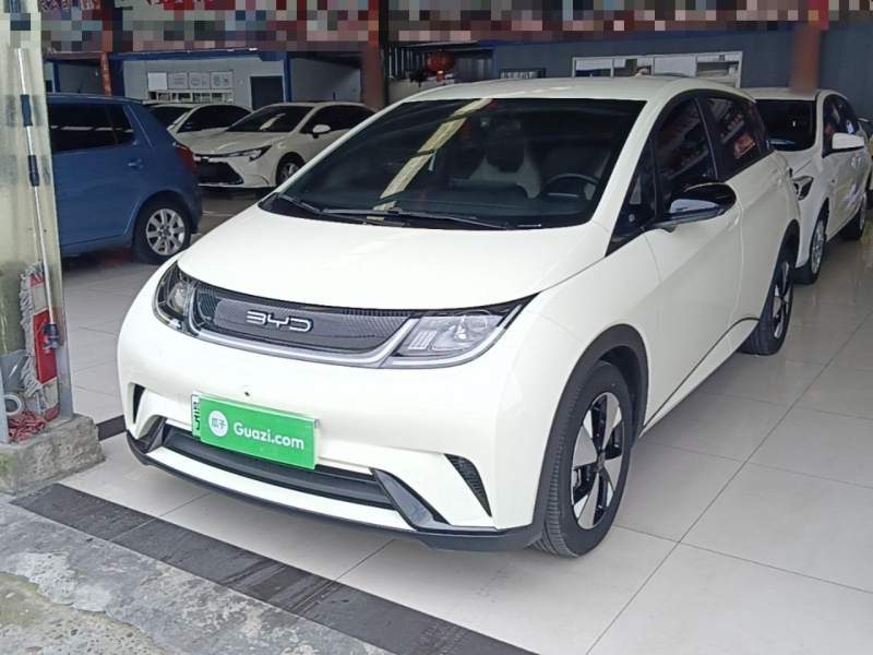 Used BYD Dolphin 2023 420 km Free Version