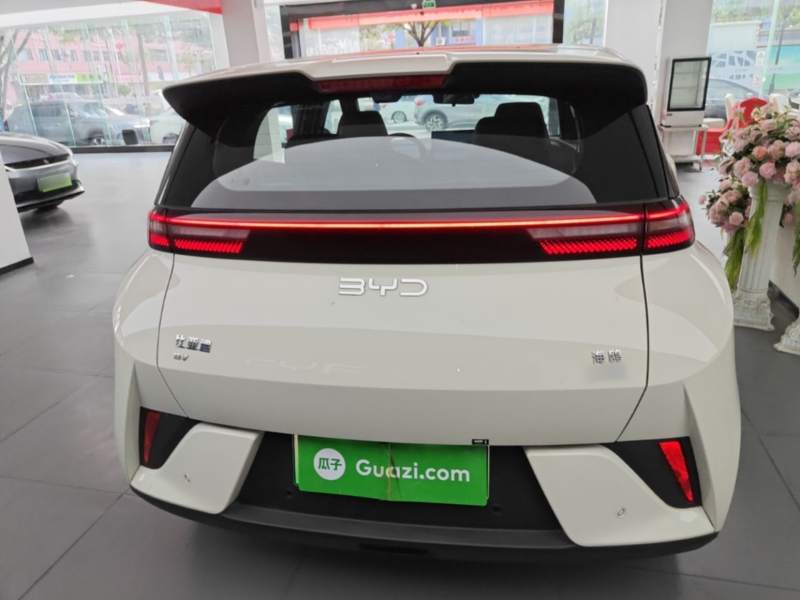 Used BYD Seagull 2025 Smart Drive Version 305 km Freedom Edition — 5