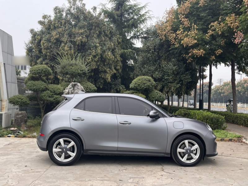 Used ORA Good Cat 2025 Model, 430 km Prestige Version — 30