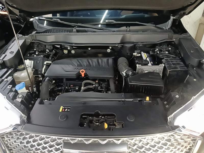 Used Haval H6 2021 3rd Generation 1.5T Automatic Two-Wheel Drive Max — 19