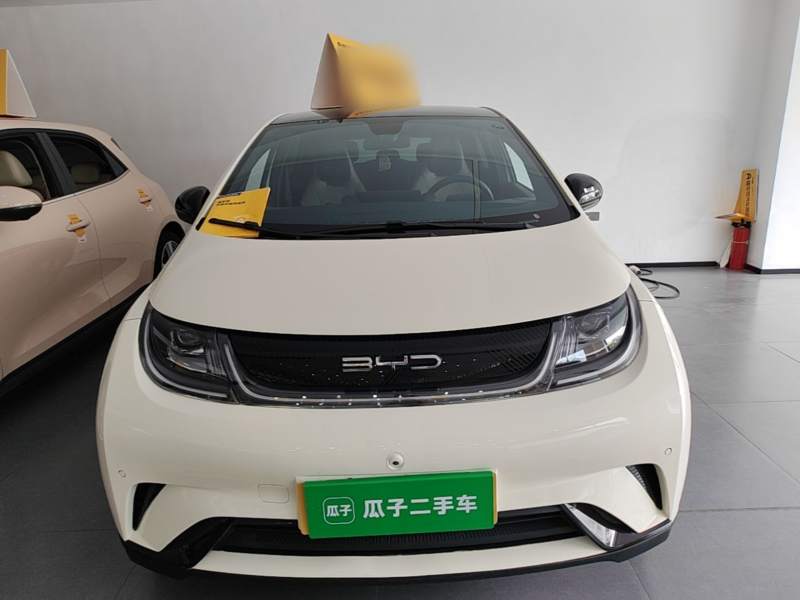 Used BYD Dolphin 2023 420 km Fashion Edition — 2