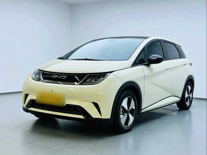 Used BYD Dolphin 2023 420 km Fashion Edition — 1