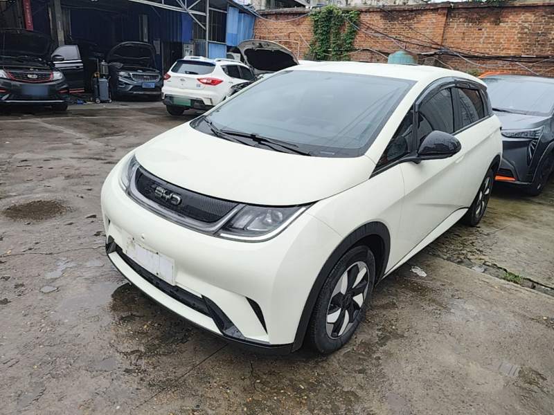 Used BYD Dolphin 2025 420km Free Edition