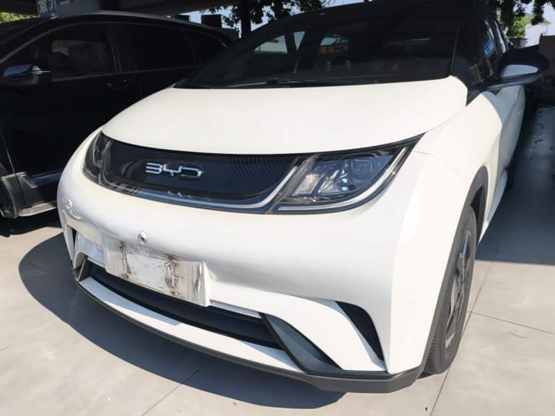 Used BYD Dolphin 2021 405 km Free Version — 23