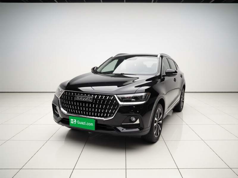 Used Haval H6 2023 National Trend Edition 1.5T Automatic Urban Version