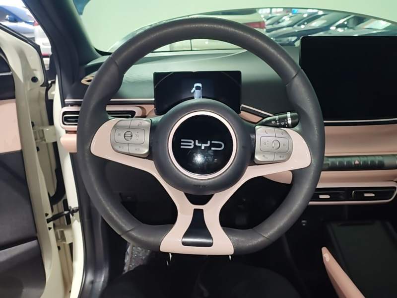 Used BYD Seagull 2024 Honor Edition 305km Dynamic Version — 10