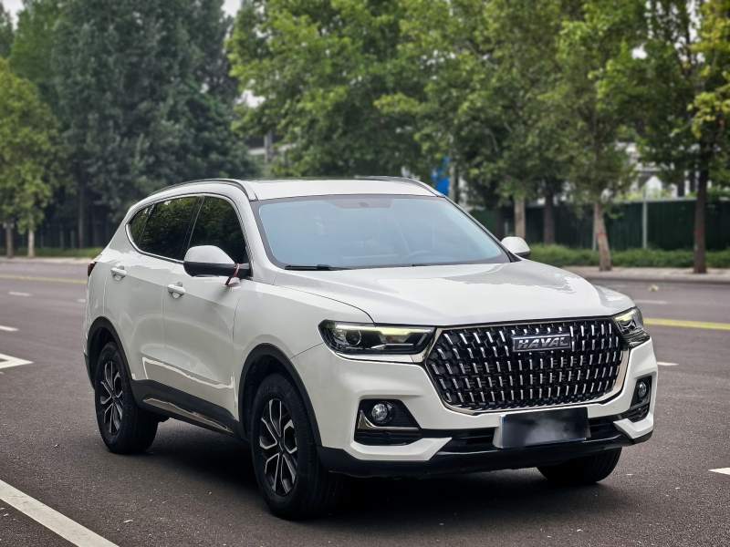 Used Haval H6 2023 National Trend Edition 1.5T Automatic Urban Version — 29