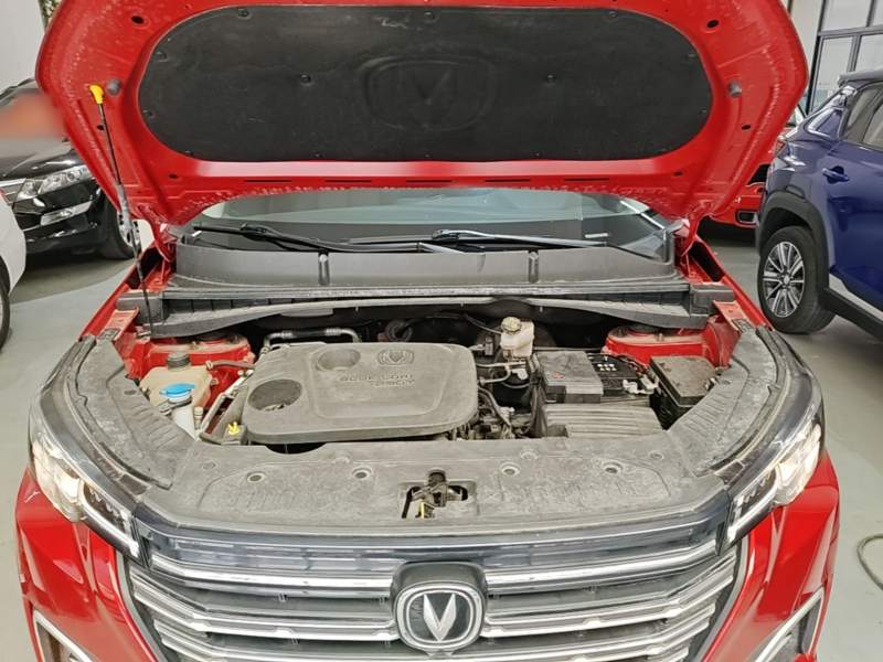 Used CHANGAN CS55PLUS 2020 1.5T Manual Colorful Model — 19