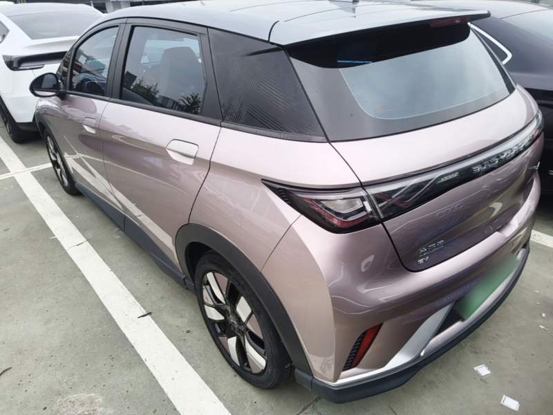 Used BYD Dolphin 2021 401km Knight Edition — 4