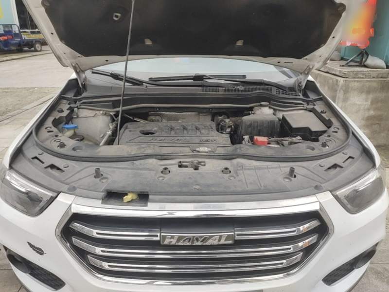 Used Haval H6 2018 Blue Label Sport Edition 1.5T Manual Two-Wheel Drive Elite Model — 19