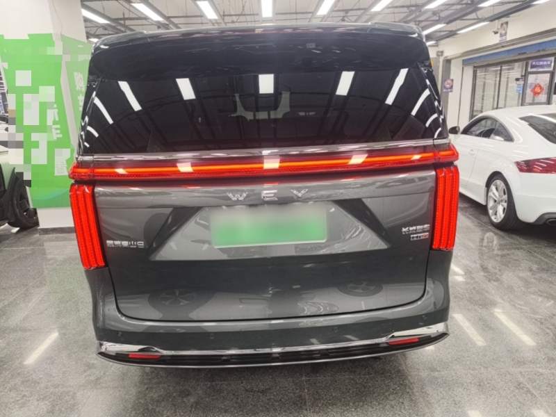 Used Wey Gaoshan 2025 Four-Wheel Drive Alpine 8 — 5